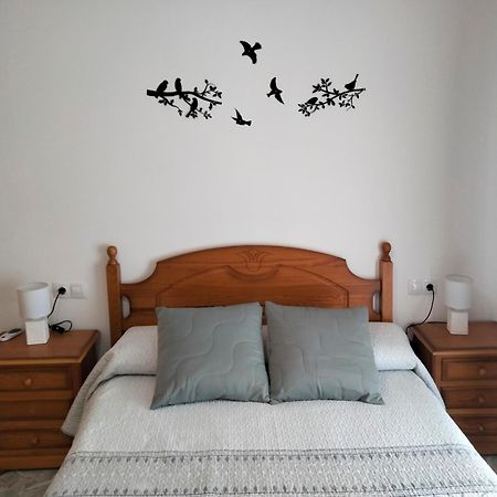 Apartamento Moncofa 蒙科法尔 外观 照片